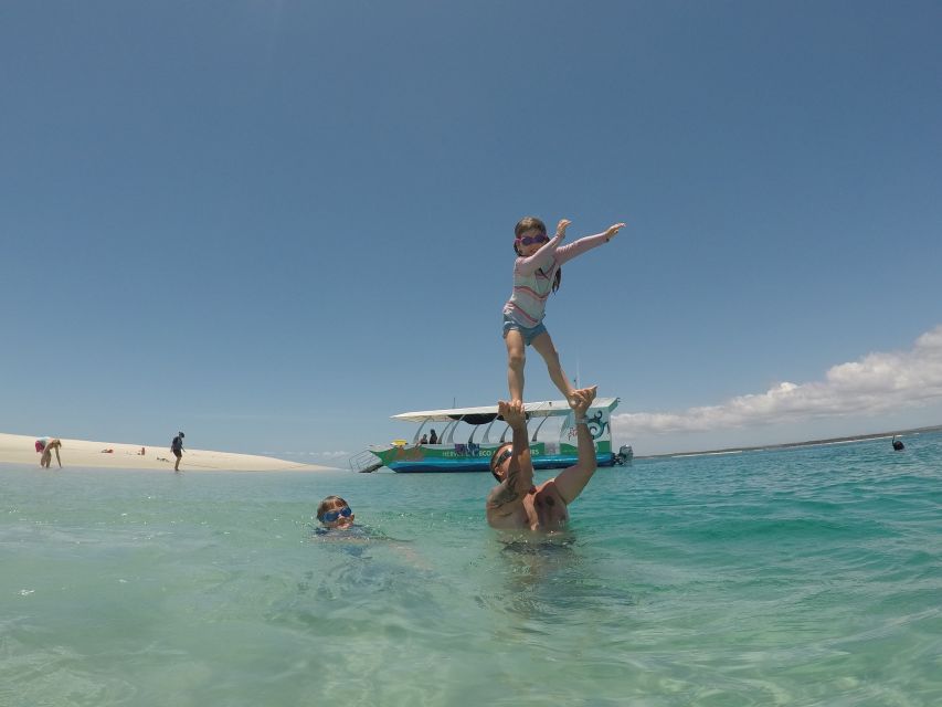 Hervey Bay: Turtle Discovery Eco Tour