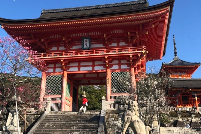 Hidden Gems, Kiyomizu-Temple and Fushimi-Inari Half Day Private - Overview of the Tour