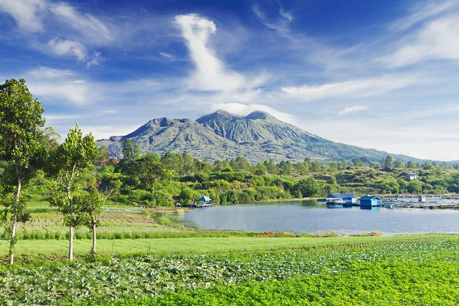 Highlights of Ubud & Mount Batur Volcano - Private Day Trip - Tour Overview