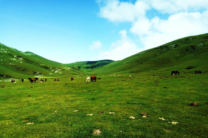 Hike the Heart of the Basque Country - Overview of the Hiking Tour