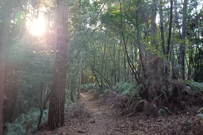 Hike Through Kyotos Best Tourist Spots - Meeting Point and End Location