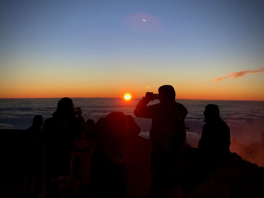 Hike Under Stars and Skywatching With Astronomer at Teide - About the Activity