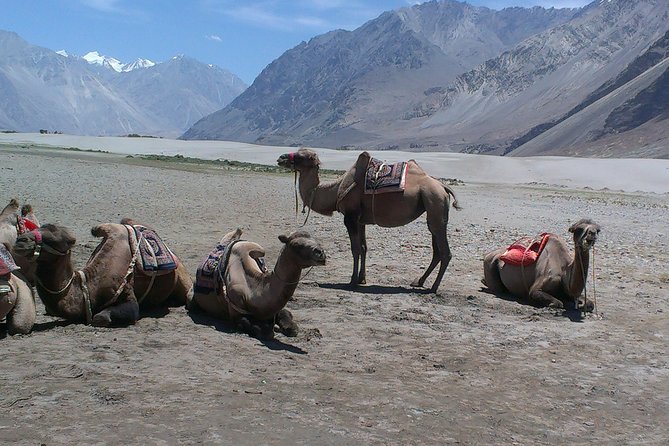 himalayas-motorcycle-escapades-traversing-himalayan-landscapes