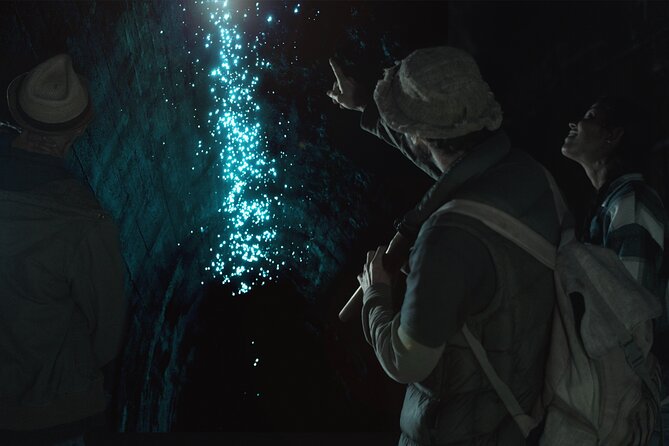 Hinterland Magic & Glow-worm Experience - Overview of the Experience