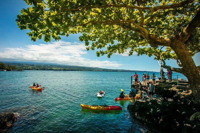 Historic Hilo Bay Waterfalls by Kayak