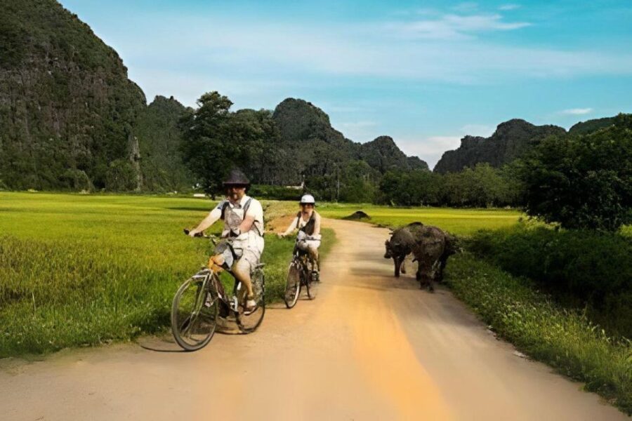Hoa Lu - Tam Coc - Mua Cave Full Day - Tour Details