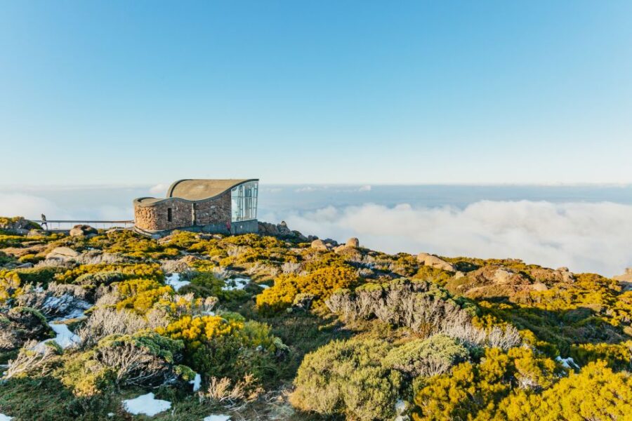 hobart-mt-wellington-mt-field-bonorong-and-richmond-trip-explore-tasmanias-wilderness