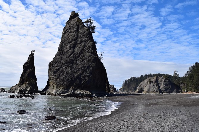 hoh-rain-forest-and-rialto-beach-guided-tour-in-olympic-national-park-tour-overview