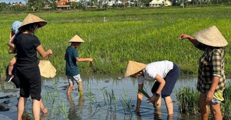 Hoi An:Cycling,Traditional Farming & Fishing Life Experience - Tour Overview