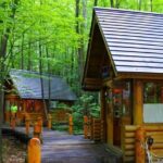 hokkaido-asahiyama-zoo-biei-aoike-elf-terrace-day-tour-taking-in-aoikes-vibrant-beauty