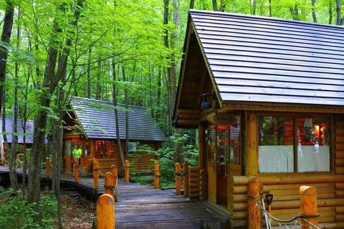 hokkaido-asahiyama-zoo-biei-aoike-elf-terrace-day-tour-taking-in-aoikes-vibrant-beauty