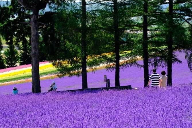 hokkaido-asahiyama-zoofurano-and-biei-english-chinese-bus-tour-overview-of-the-tour