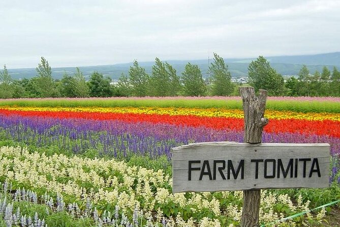 Hokkaido Highlights of Flower Blossom, Asahiyama Zoo & Blue Pond 'Aoi-Ike'! - Tour Inclusions