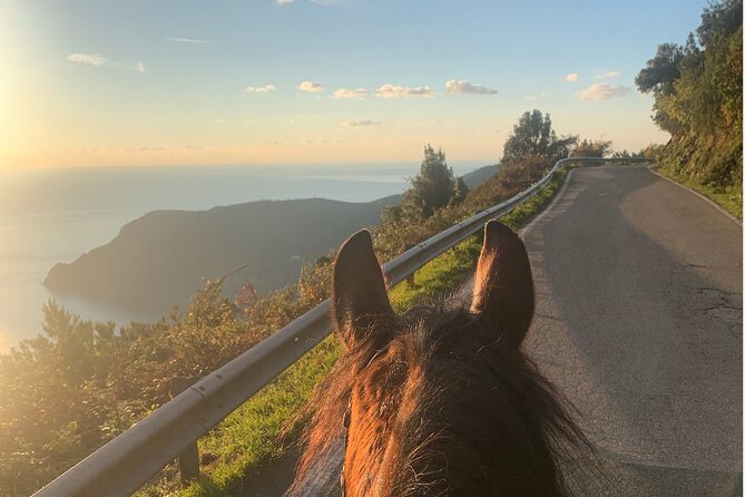 Horse Ride on the Coast of Monterosso Al Mare Cinque Terre