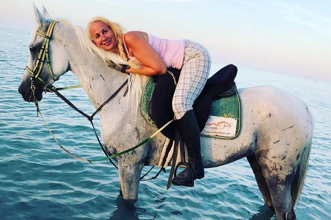 Horse Riding Tour Two Hours Sun & Sea With Transfer - Hurghada - Tour Overview