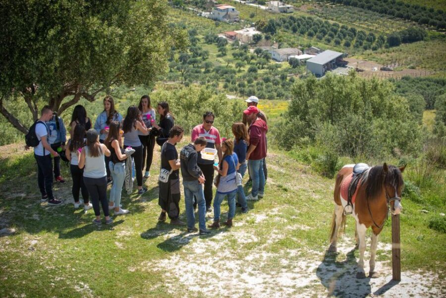 Horse Riding With Lunch in the Mountains Near Heraklion - Activity Overview