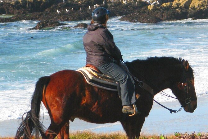 Horseback Ride & Alcatraz Prison Tickets - Overview of the Experience