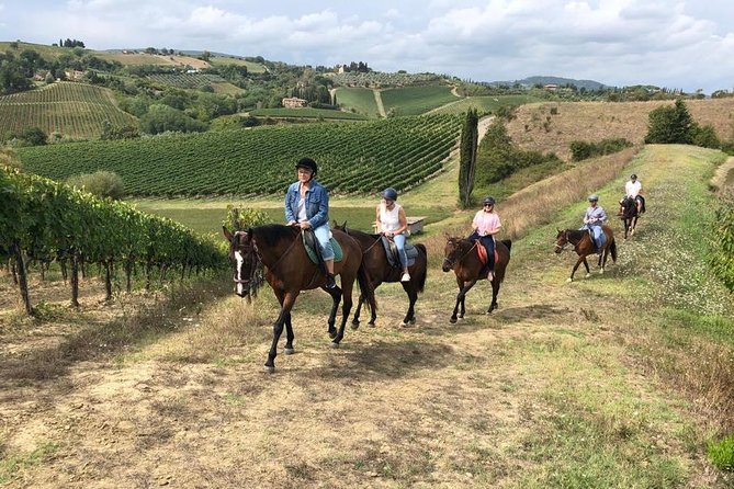 Horseback Ride in San Gimignano With Tuscan Lunch and Chianti Tasting