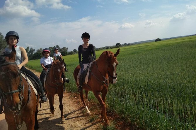 Horseback Riding Around Doñana - Choosing Your Trusty Steed