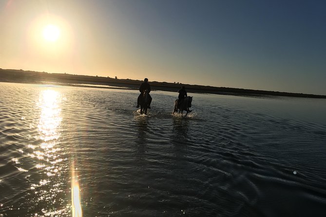 Horseback Riding at Sunrise 3h - Activity Details
