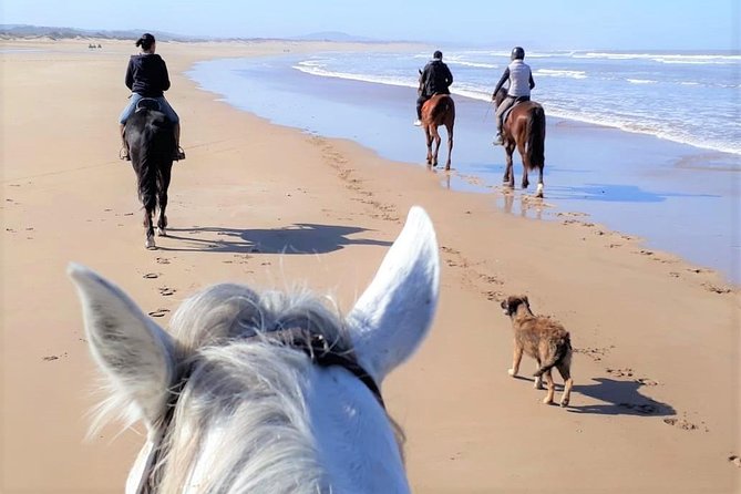 Horseback Riding Day + Picnic - Activity Details