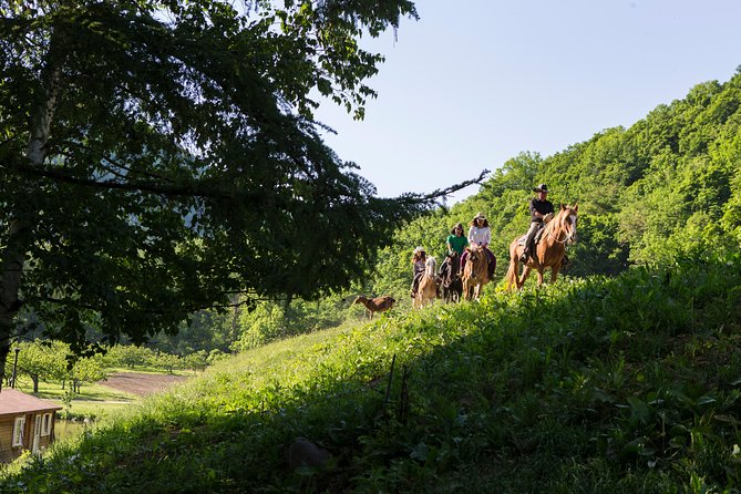 horseback-riding-in-a-country-side-in-sapporo-private-transfer-is-included-tour-overview