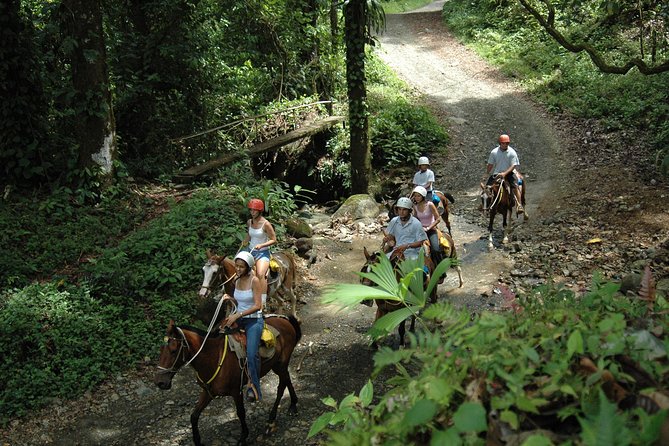 Horseback Riding Through the Jungle - Included in the Tour