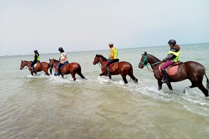 horseback-riding-with-private-transfer-private-transportation