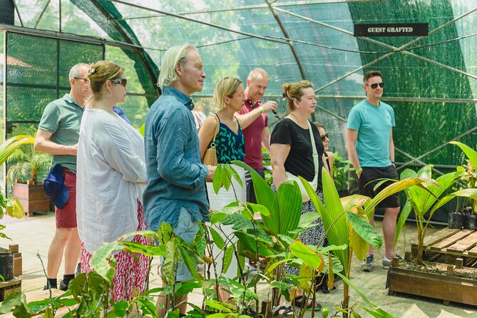 Hotel Chocolat: From Tree to Bar Tour With Tasting in St. Lucia - Hands-on Chocolate Bar Creation