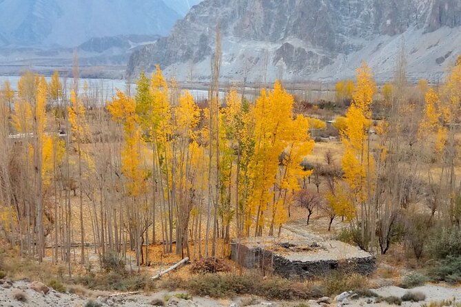 Hunza Autumn Tour