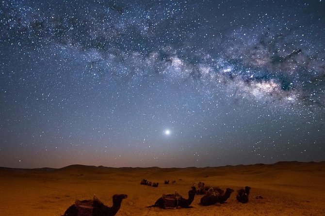 Hurghada: Star Watching Desert Adventure by Jeep With Dinner - Tour Overview