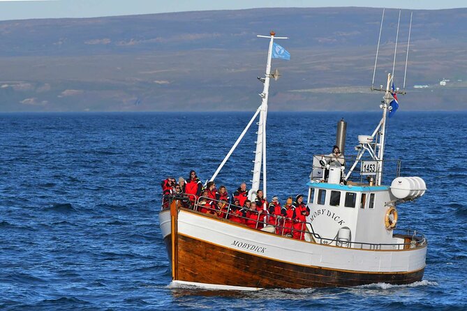 Husavik Family-Owned and Operated Whale Watching