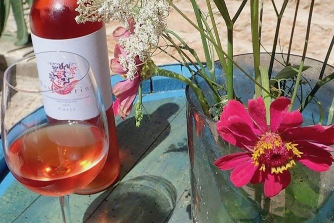 Hvar Wine Tasting Small Group Experience - Tour Overview