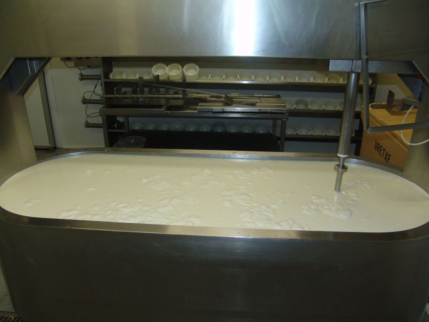 idiazabal-cheese-tour-from-san-sebastian-tour-overview