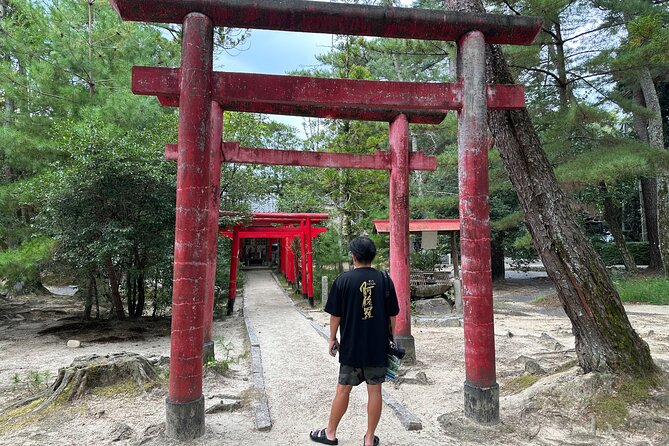 IGA the Birthplace of Ninja With Private Car & Driver (Max 9 Pax) - Overview of Iga, the Ninja Birthplace