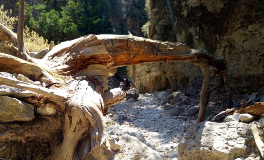 Imbros Gorge Hike From Rethymno - Tour Overview