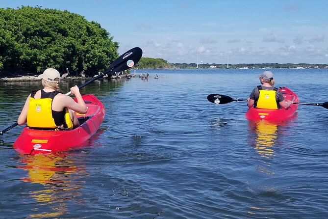 Indian River Clear Bottom Kayak or Paddleboarding Manatee and Dolphin Tour