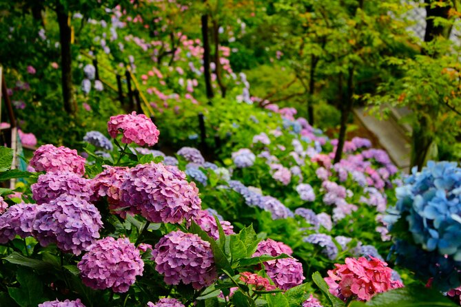 Introducing All the Famous Spots in Kamakura and Enoshima!