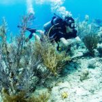introduction-shore-dive-with-scubacao-1-dive-experience-and-activity
