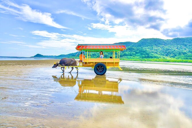 11 Best Tours in Iriomote Jima