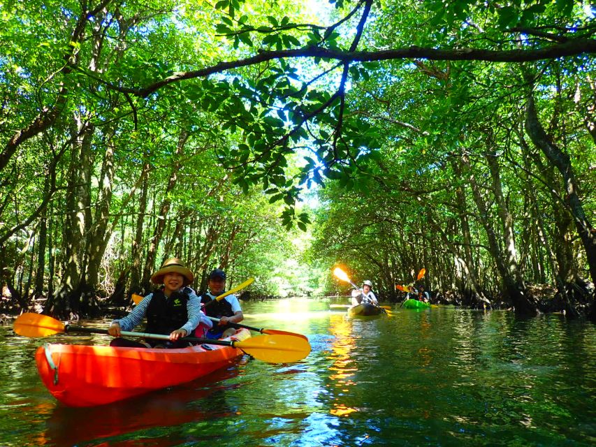 2 Best Canoe And Kayak Experiences In Iriomote Ishigaki National Park