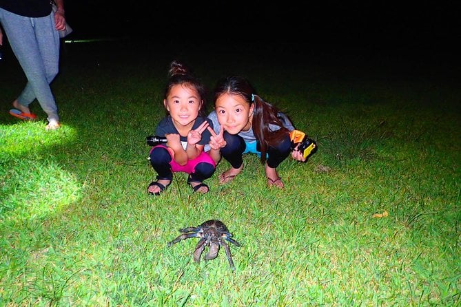 iriomote-island-okinawa-night-adventure-tour-overview-of-the-tour