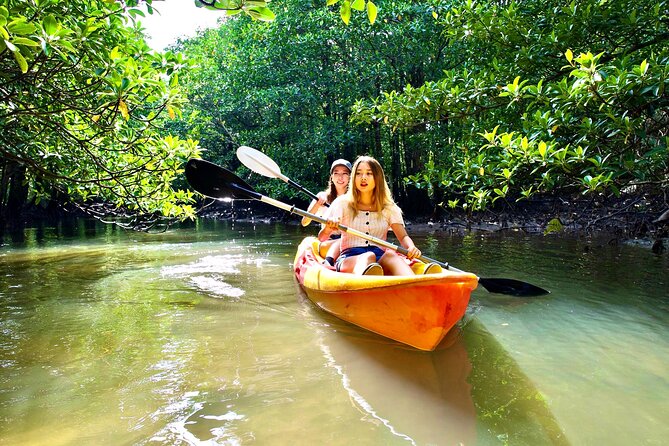 Iriomote Sup/Canoeing in a World Heritage Site & Limestone Cave Exploration