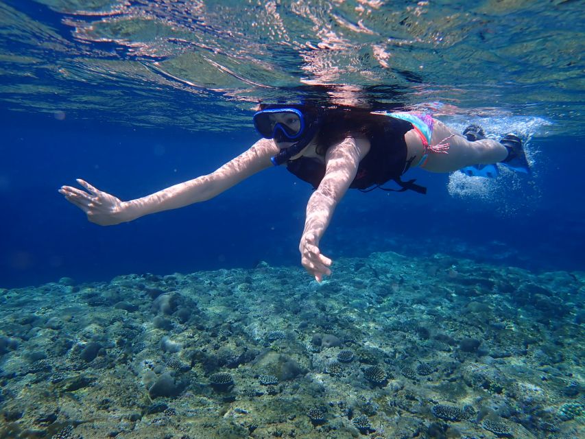 ishigaki-island-kayak-sup-and-snorkeling-day-at-kabira-bay-overview-of-the-tour