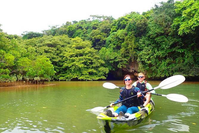 Ishigaki Mangrove SUP/Canoe + Blue Cave Snorkeling