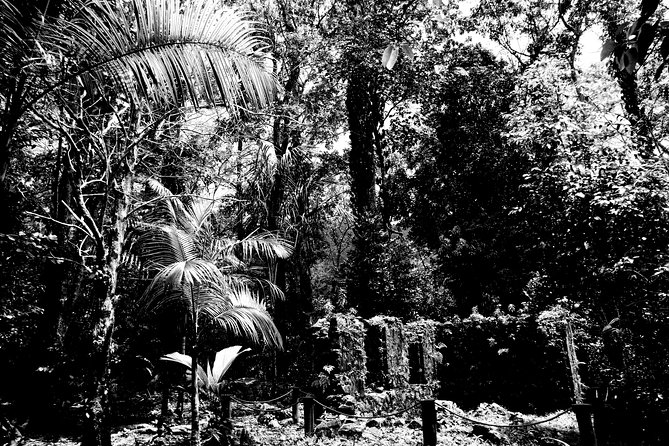 island-tour-with-the-beach-buggy-tour-overview