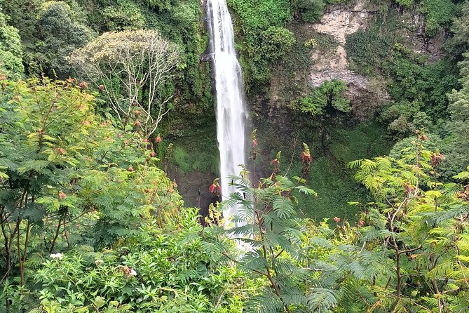 Jakarta Bogor Botanical Garden, Waterfall and Rice Terrace, Lunch - Explore Bogor Botanical Gardens