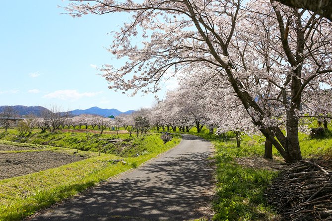 Japans Rural Life & Nature: Private Half Day Cycling Near Kyoto