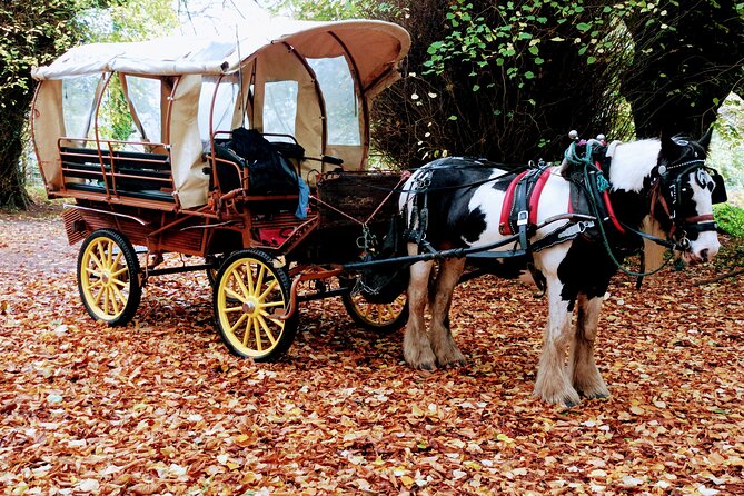 Jaunting Car Tour in Killarney National Park