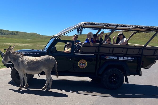 jeep-bison-safari-with-sylvan-lake-needles-highway-iron-mtn-road-tour-overview